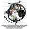 Lectric Limited 1979 Pontiac Firebird Dash Harness 38647