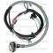 Lectric Limited 1980 Pontiac Firebird Engine Harness 38658