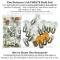 Lectric Limited 1968 Chevrolet Camaro Light Bulb Set 49081