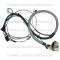 Lectric Limited 1981 Pontiac Firebird Engine Harness 38665