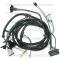 Lectric Limited 1975 Pontiac Firebird Front Light Harness 38598