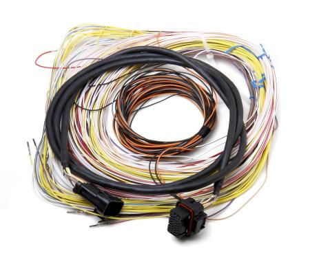 Holley EFI Dominator EFI Auxiliary Harness 558-401