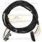 Lectric Limited 1978-1981 Pontiac Firebird Rear Body Intermediate Harness 38681