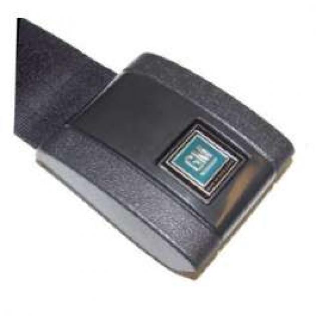 seat belt clasp