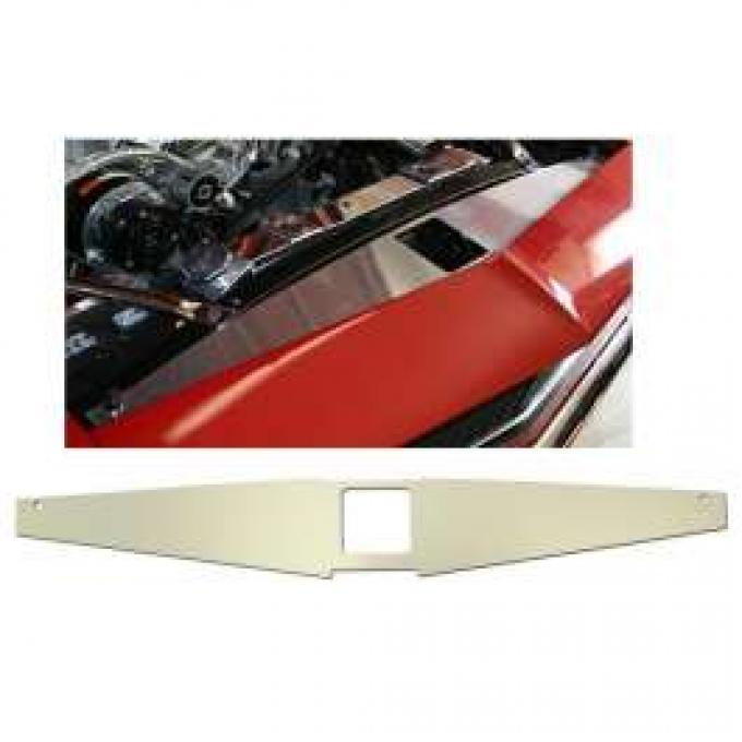 Camaro Core Support Filler Panel, Clear Anodized (Silver Satin), Bowtie Logo, 1967-1969