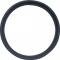 Firebird Gas Tank Sending Unit Gasket, 1993-1998