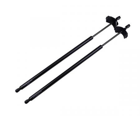 Firebird Carbon Fiber Rear Hatch Lift Support 1993-2002