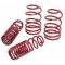 Camaro Coil Springs, V8, Sportline, Eibach, 1982-1992