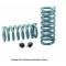 Firebird Coil Spring Set, 2 Drop, Hotchkis, 1967-1969