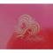 Firebird Decal Set, Red Bird, Gold, 1977-1978