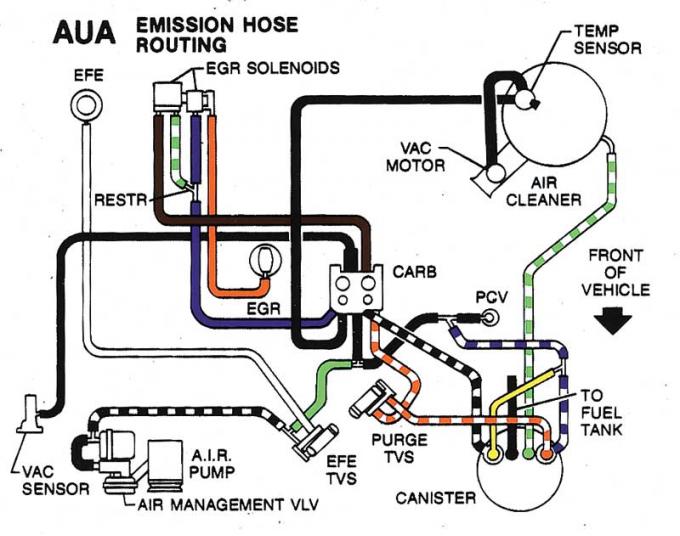 Camaro Decal, Emission Hose, Automatic Transmission, AUA, 1981
