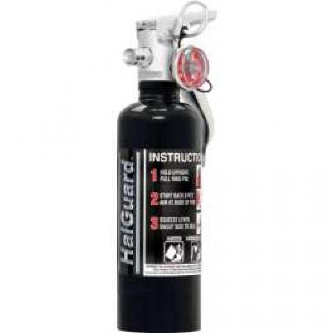 Fire Extinguisher, H3R Halguard, Black, 1 Lb.