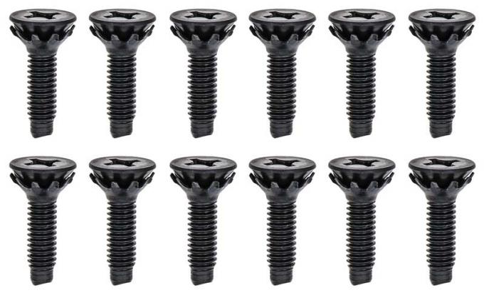 OER 1962-67 Nova, 1967 Camaro, Firebird, Door Hinge Screw Set, 12 Piece Set 748597