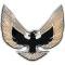 1974-76 Firebird, Front End Panel Emblem, Special Edition, Gold & Black, with Hardware, GM Licensed